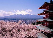 Sakura em Kyoto